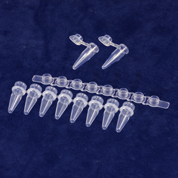 PCR Tube & Strip