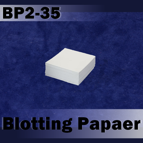 Blotting Paper, 8 x 10 cm