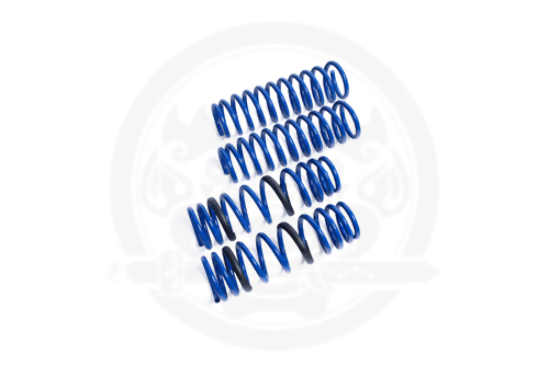 High-Performance Spring/Dual Rate Coils Spring