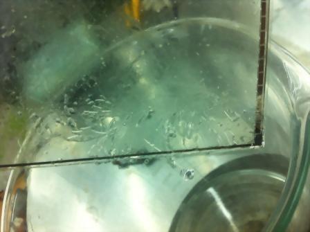 Synthetic glue remover