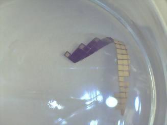 natural glue remover