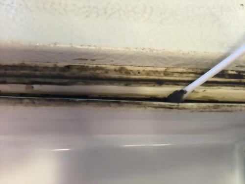 refrigerator mildew remover