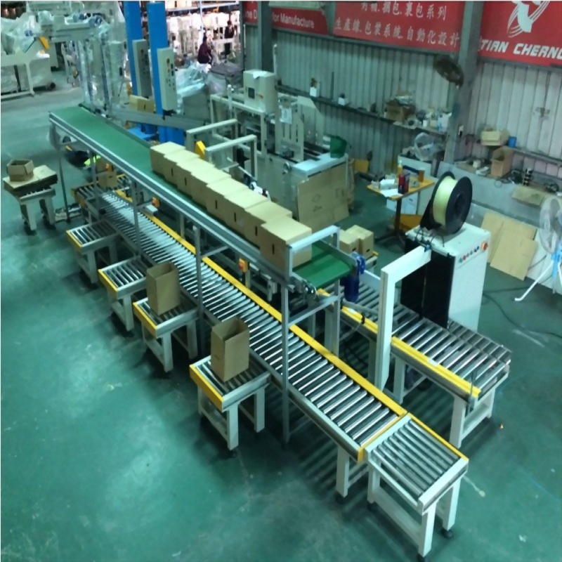 Fish Farm Auto Packing System