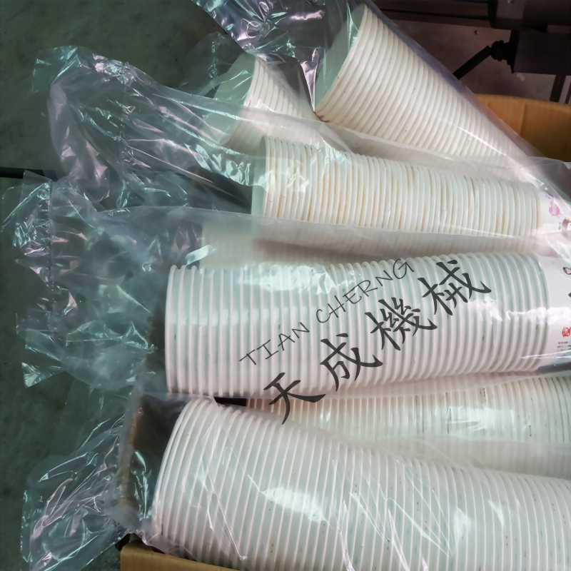 Full Auto Bagging Packing Machine -Horizontal Type