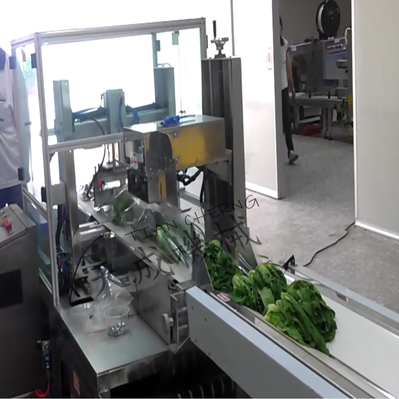 Vegetable Packing Machine