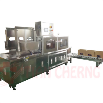 Auto Carton Erector and Sealer (Horizontal Type)