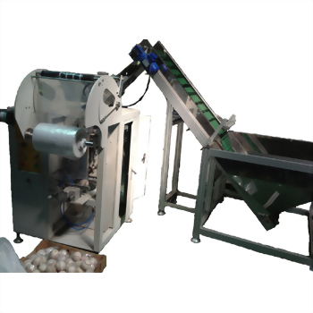 Auto Filling Bagging Sealing Packaging Machine