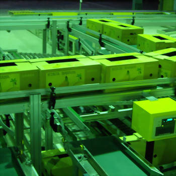 Powerful Conveyor