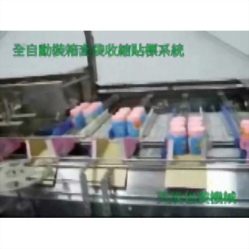 全自動封箱套袋收縮貼標系統 熱熔膠式 30-1