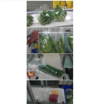蔬果套袋包裝系統 29-5