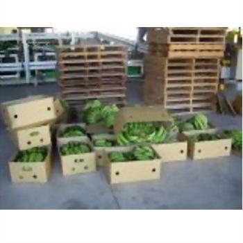 農產品清洗設備 29-2