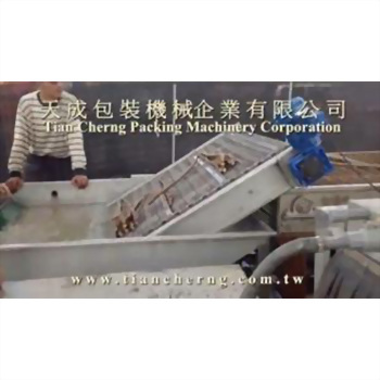 農產品清洗設備 29-4