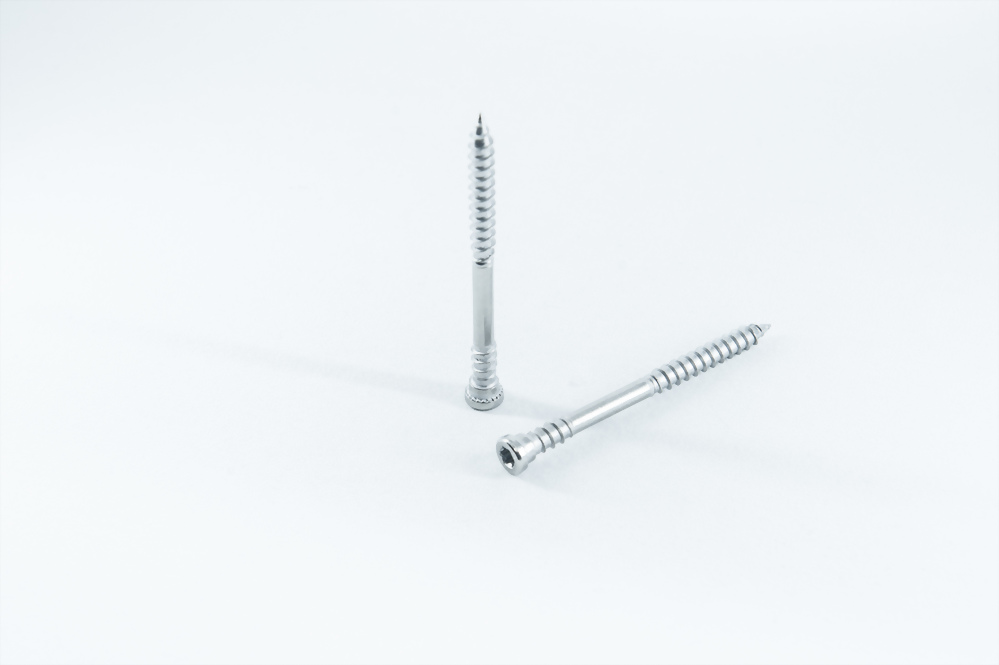 SPECIAL SCREWS