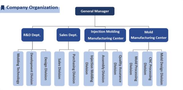 Company Organization