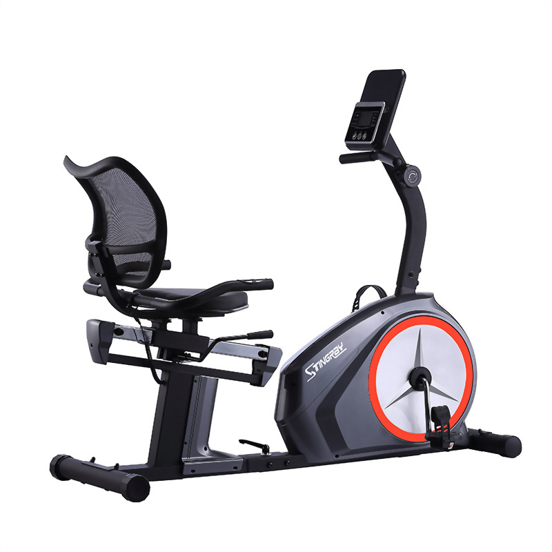 ST-2825R  Recumbent Bike