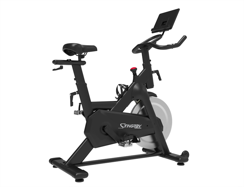 SPF-309  Home Use Spinning Bike