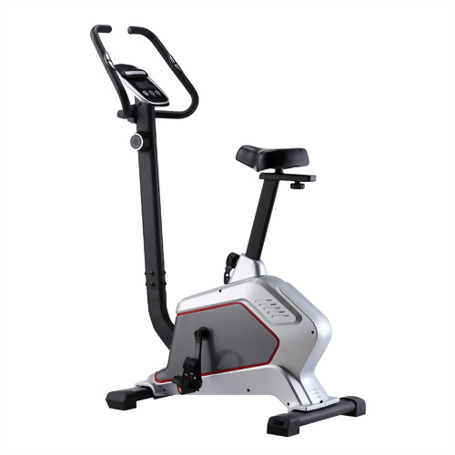 UPRIGHT BIKE