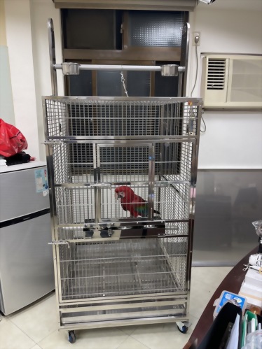 大型金剛鸚鵡不鏽鋼鳥籠