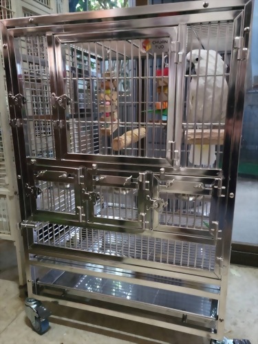 大型巴丹鸚鵡鳥籠