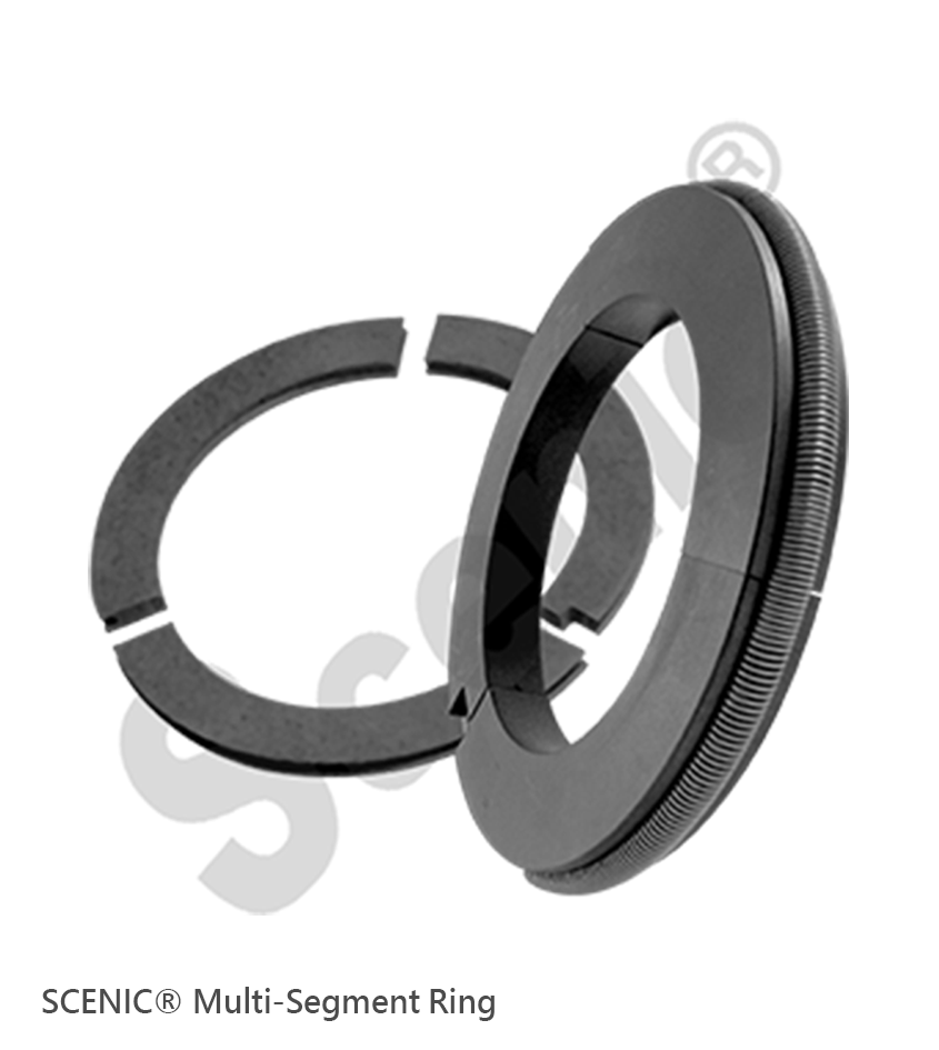 Multi-Segment Ring