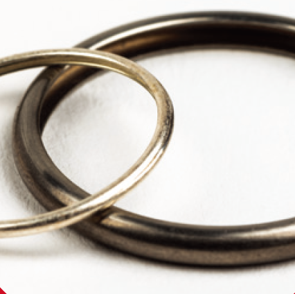 Resilient metal seals