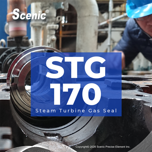 STG 170 Steam Turbine Gas Seal