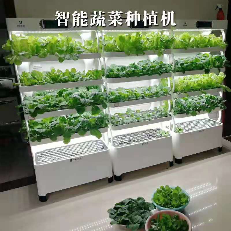 網紅智慧種菜機 2