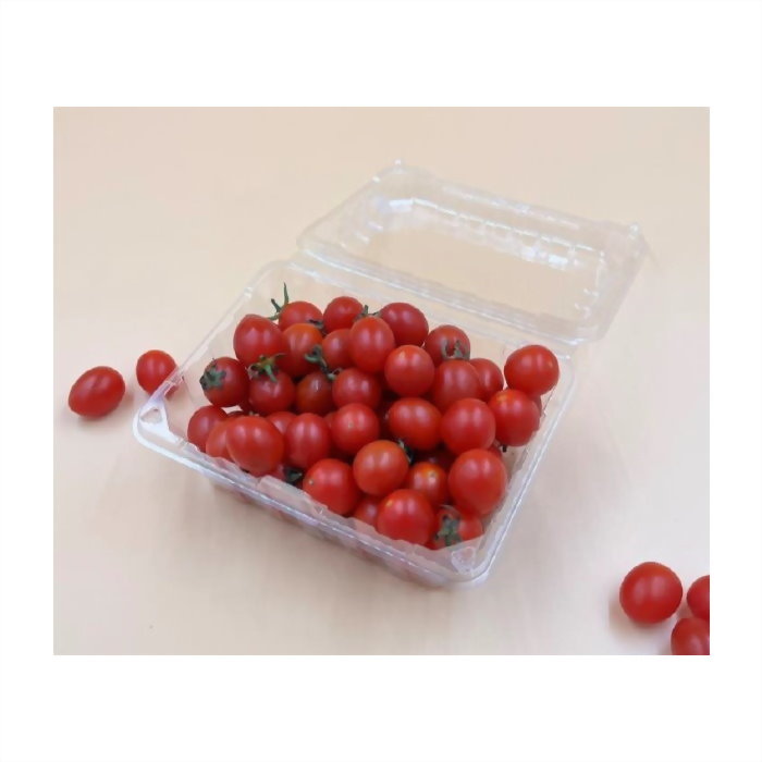 N room temperature plastic PET (0 ℃ ~ 60 ℃) JS-20B