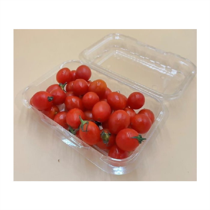 常溫類塑料PET(0℃ ~60℃) RS-250G