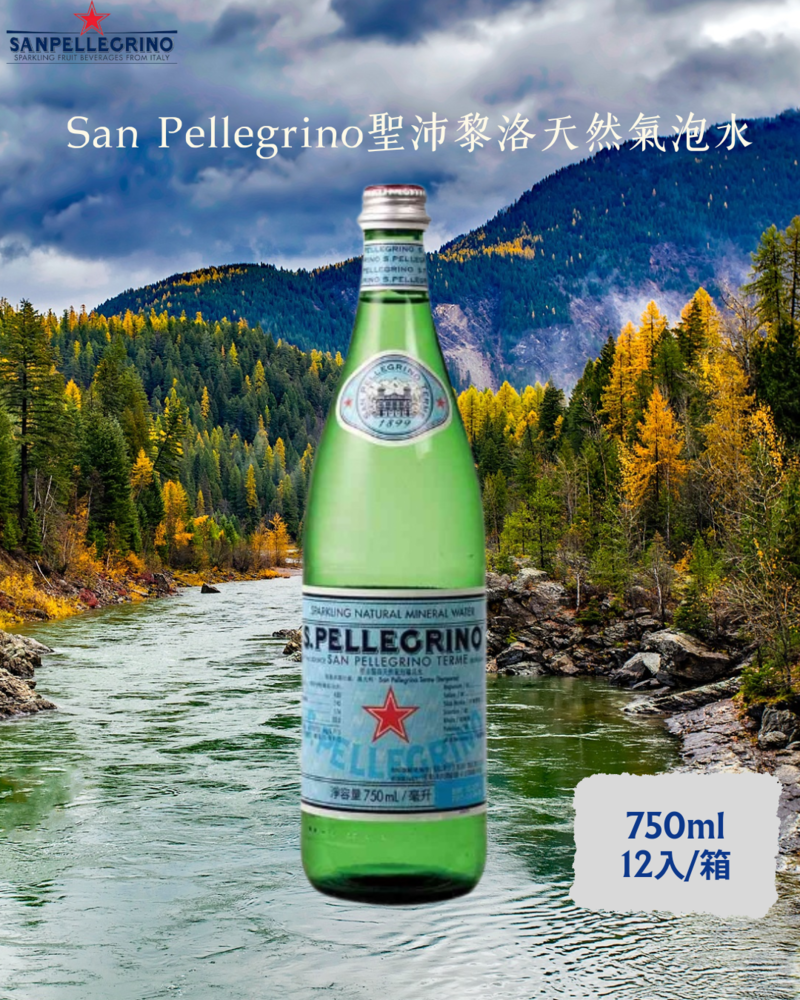 San Pellegrino 聖沛黎洛天然氣泡水 玻璃瓶裝