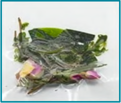 玫瑰天使花草茶