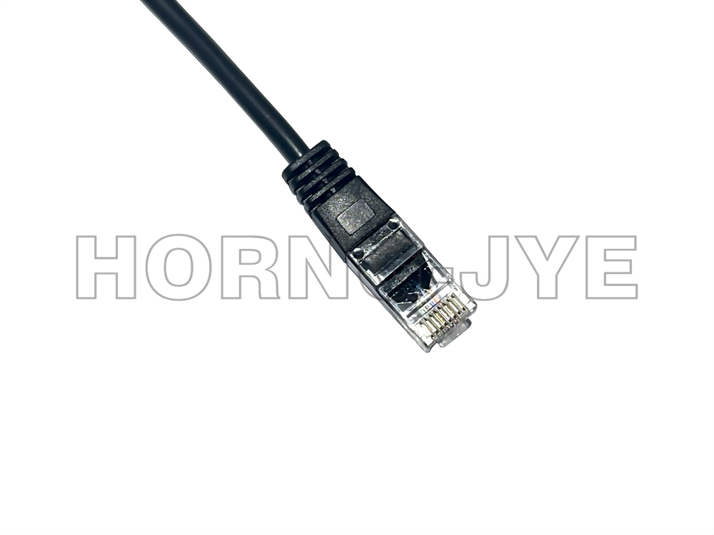 RS232 DB9母 / RJ45