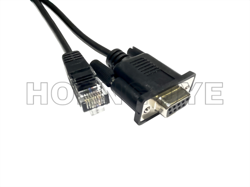 RS232 DB9母 / RJ45