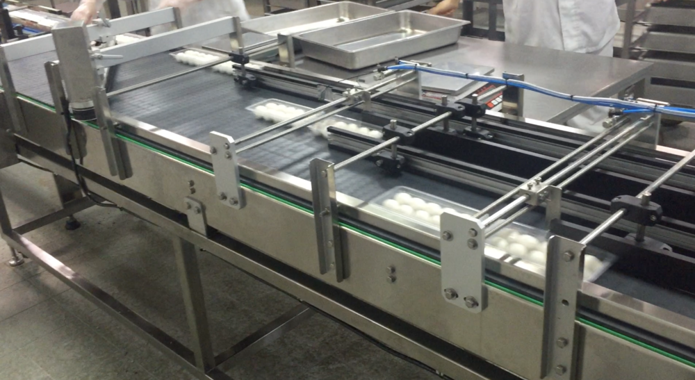 Conveyor Engineering System