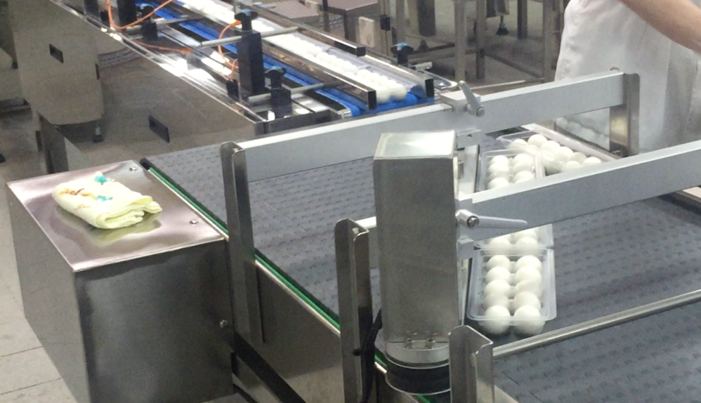 Conveyor Engineering System