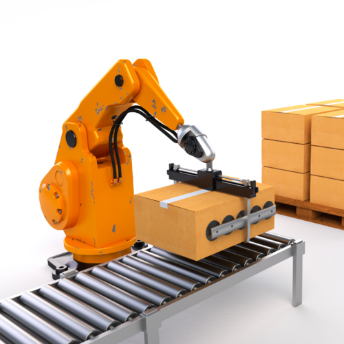 Conveyor & Robot Arm Palletizing