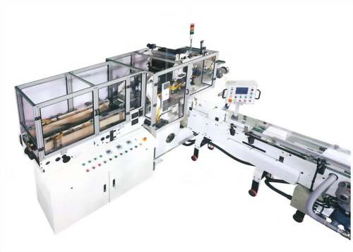 Standard Box Packing Machine