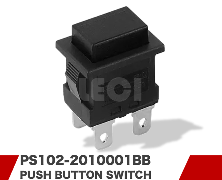 PS102-2010001BB