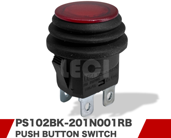 PS102BK-201N001RB