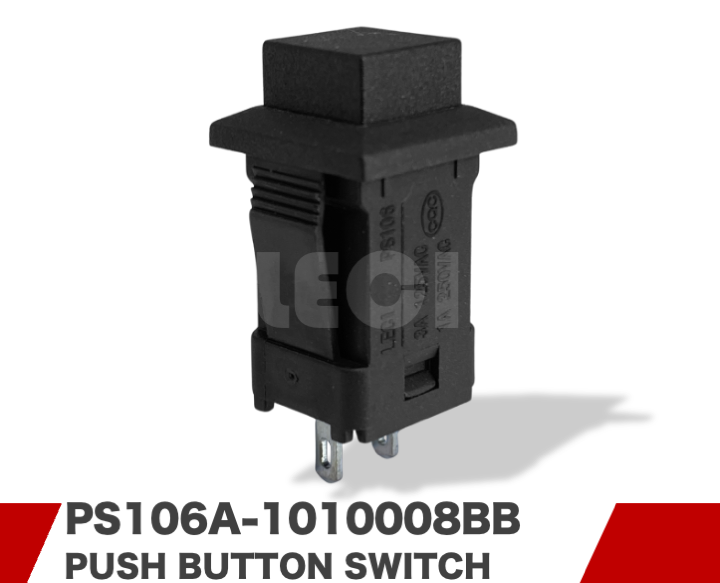 PS106A-1010008BB