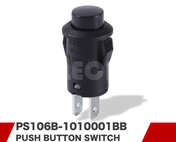 PS106B-1010001BB