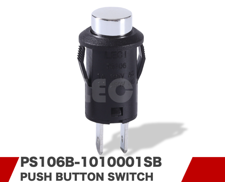 PS106B-1010001SB