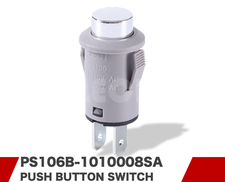 PS106B-1010008SA