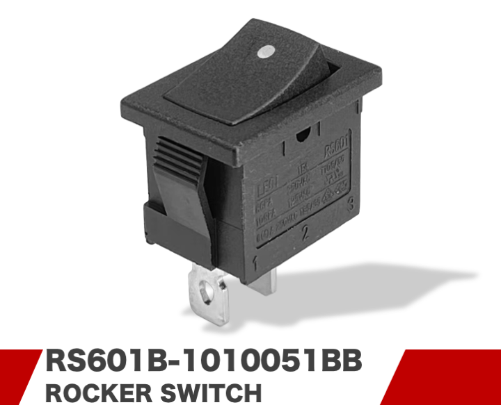 RS601B-1010051BB