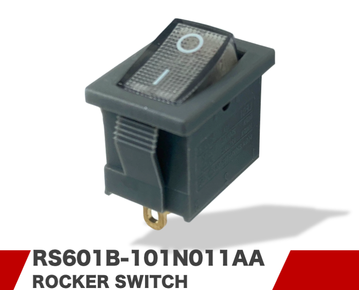 RS601B-101N011AA
