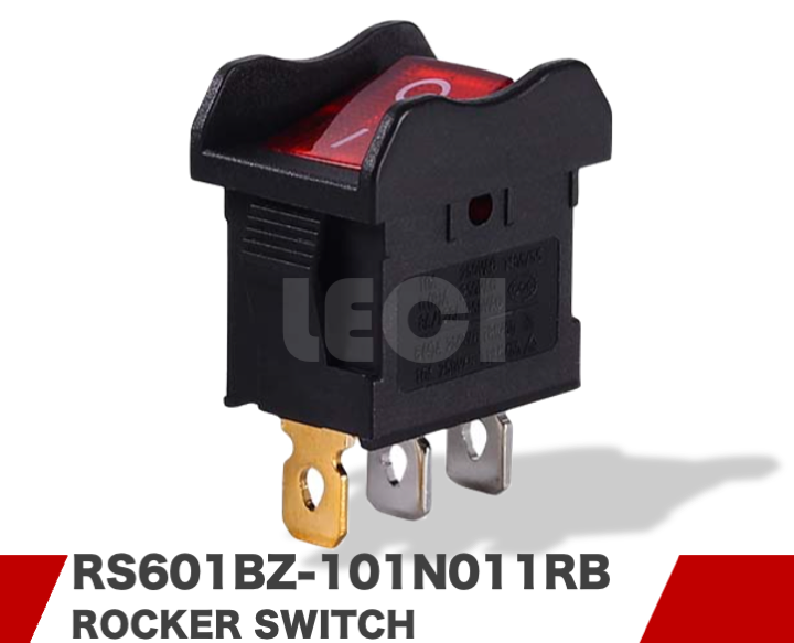 RS601BZ-101N011RB