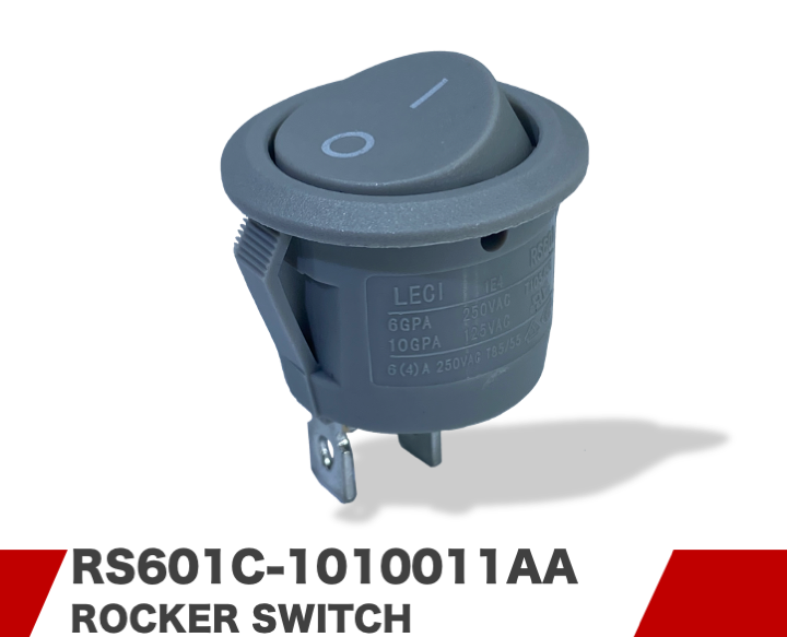 RS601C-1010011AA
