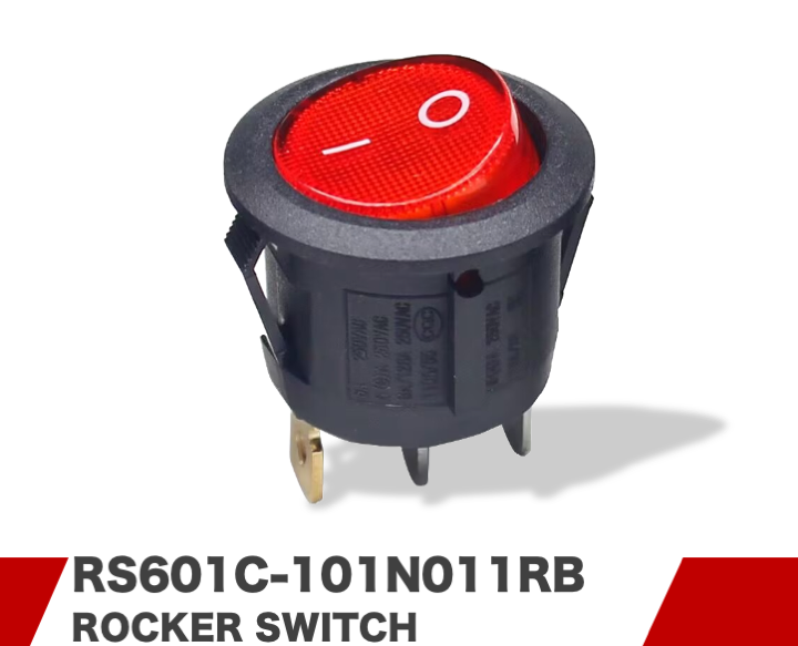 RS601C-101N011RB