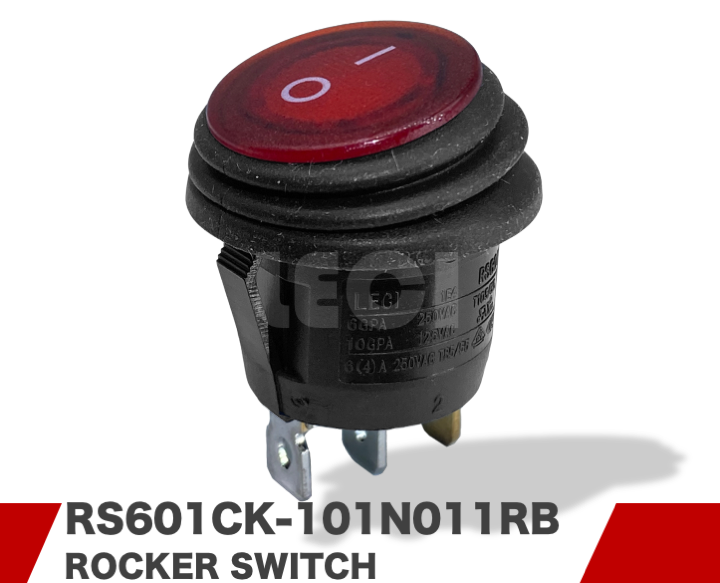 RS601CK-101N011RB