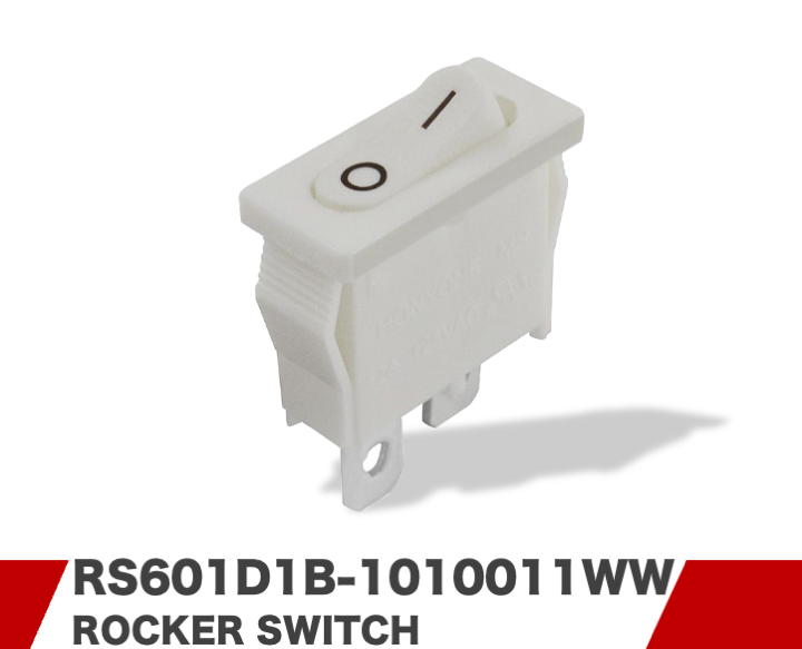RS601D1B-1010011WW